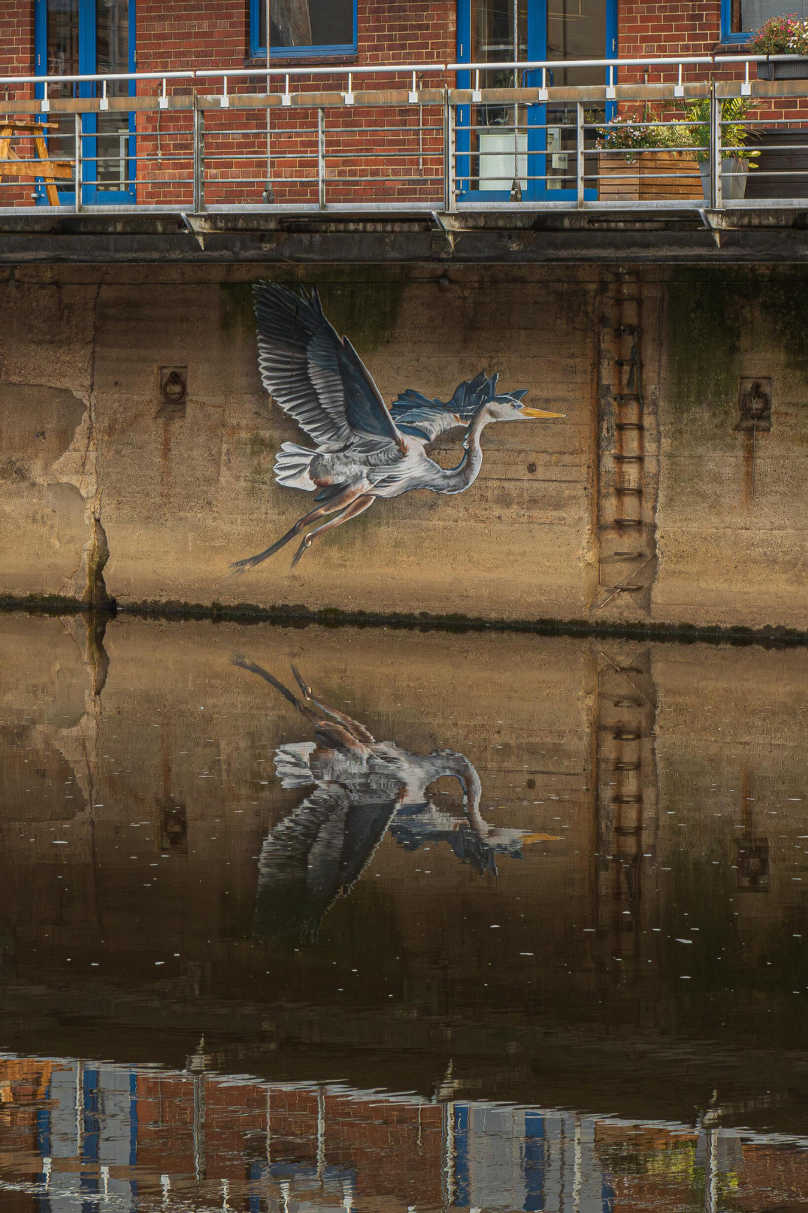 Photo by Howard Senton